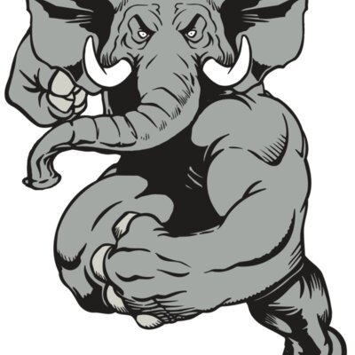 AR ELEPH 18 RC Thumbnail