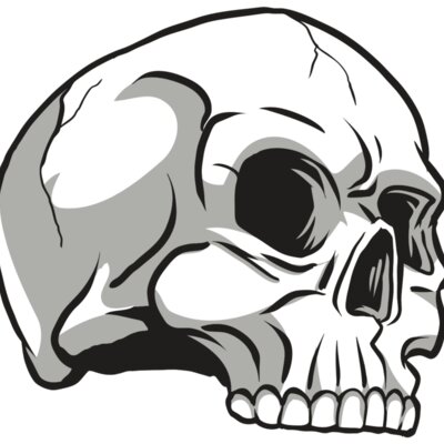 AR24 SKULL 10 RQC Thumbnail