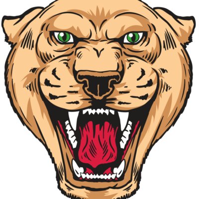 AR13 PNTHR 01 RQC Thumbnail