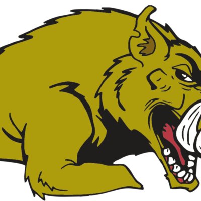 AR RAZORBACK 23 RC Thumbnail