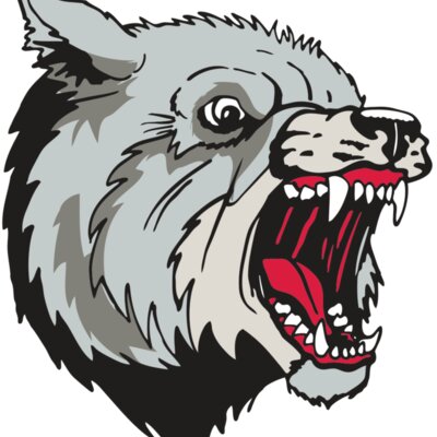 AR WOLF 38 RC Thumbnail