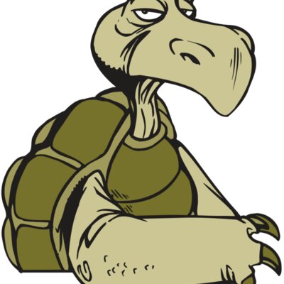 AR5 Turtle 01 RQC Thumbnail